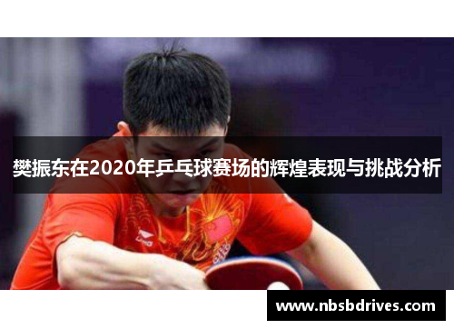 樊振东在2020年乒乓球赛场的辉煌表现与挑战分析